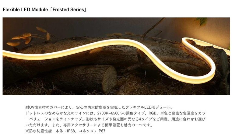 11 Flexible LED Module (Frosted Series)